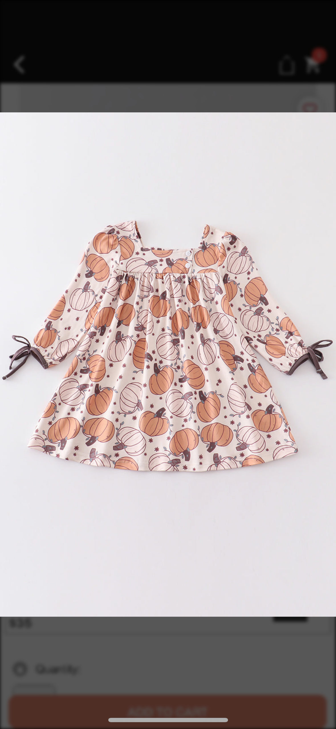 Ivory Pumpkin Print Dress